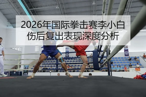 nian-guo-ji-quan-ji-sai-li-xiao-bai-shang-hou-fu-chu-biao-xian-shen-du-fen-xi-2-577.jpg