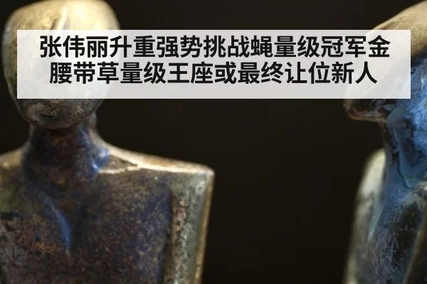 张伟丽升重强势挑战蝇量级冠军金腰带草量级王座或最终让位新人
